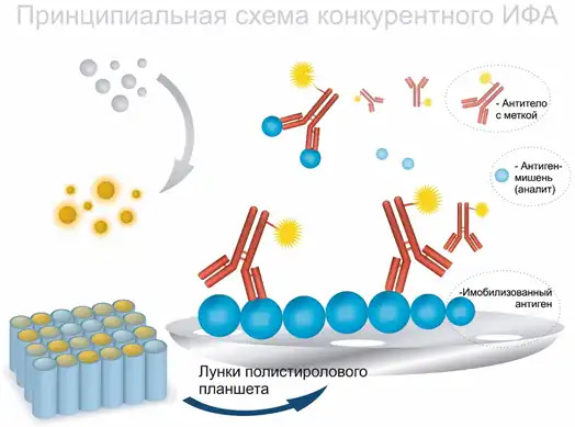 Схема неконкурентного ифа - 88 фото