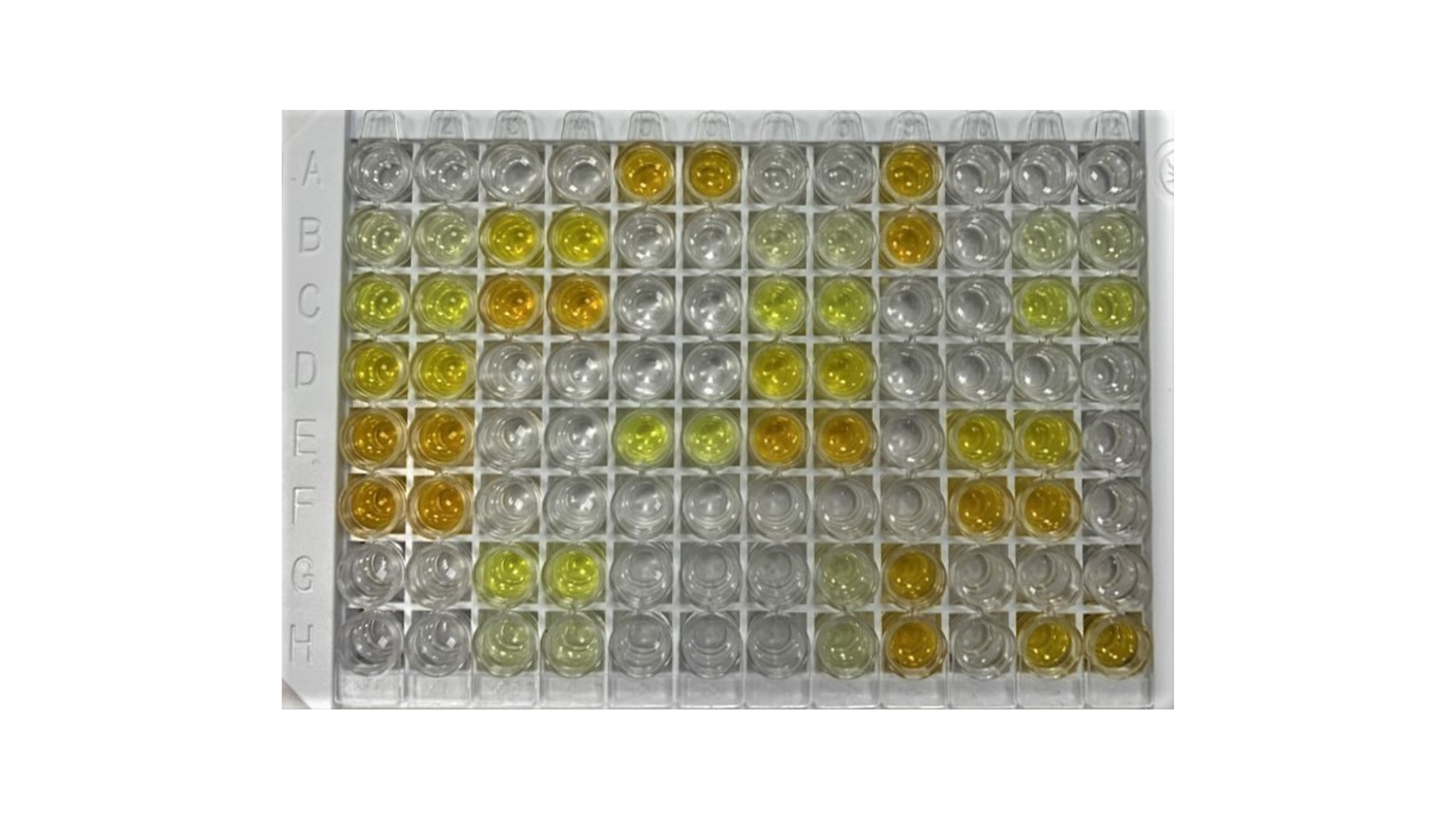 Антиген: SARS-CoV2 N белок нуклеокапсида. 

Иммобилизация антигена: 1 мкг/мл, 50 мМ карбонатный буфер, pH 9,6. 

Образцы: 

отрицательные, N = 1000 (пул 2016 года), положительные (N = 2000). 

Диагностическая специфичность 99+%, диагностическая чувствительность 99+%.
