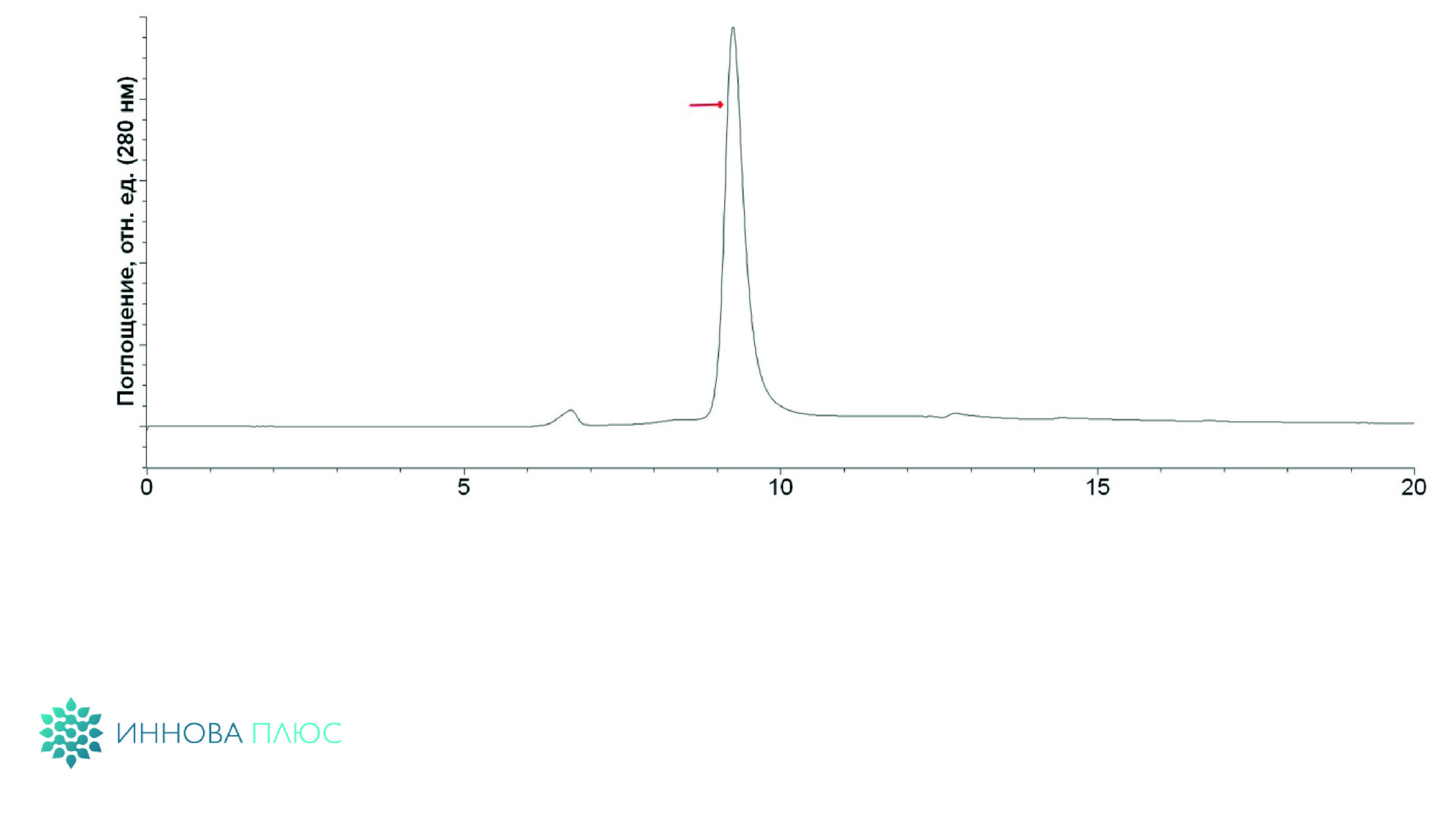 Красной стрелкой обозначен гомодимер рекомбинантной эндонуклеазы Serratia marcescens.