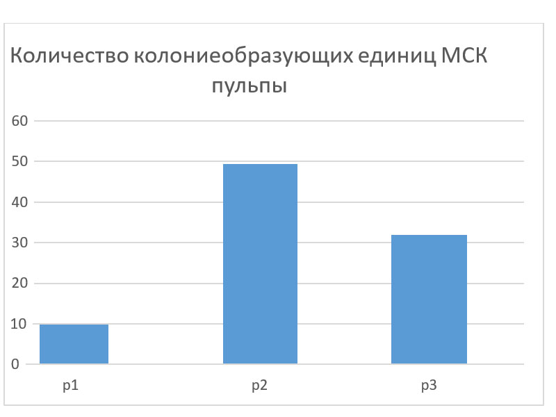Рисунок 2 – Количество колониеобразующих единиц МСК пульпы