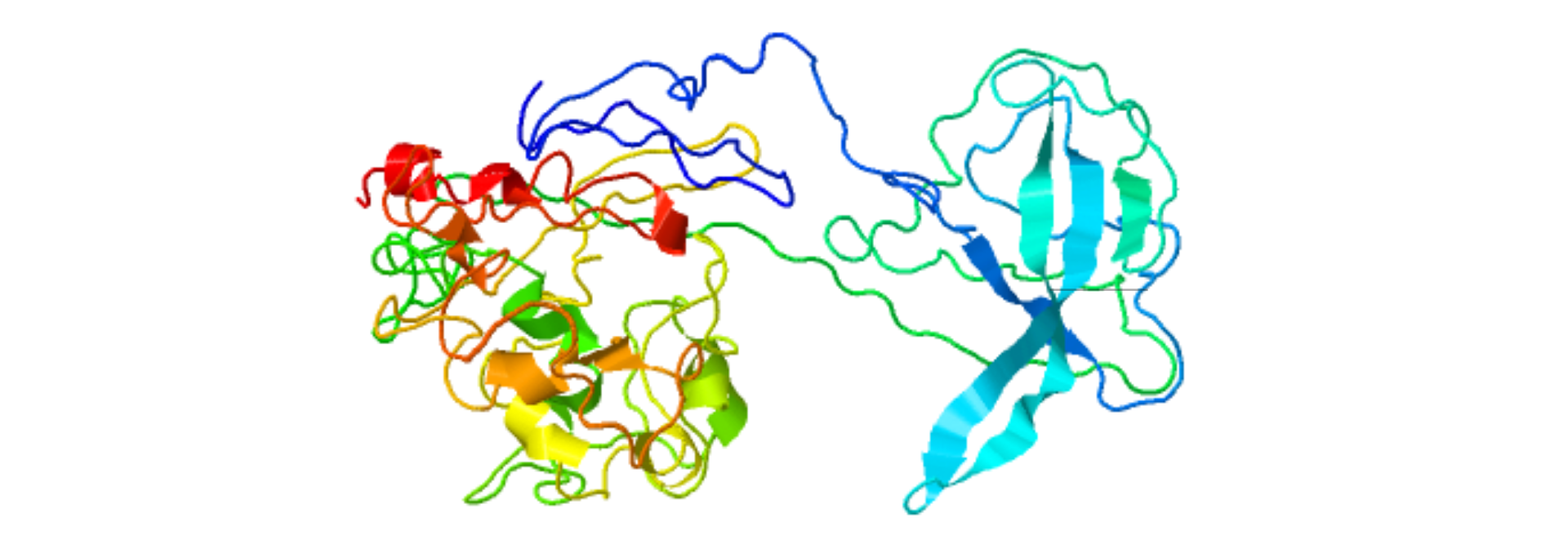 Структура SARS-CoV-2 N protein. 
Структура смоделированна C-I-TASSER.
