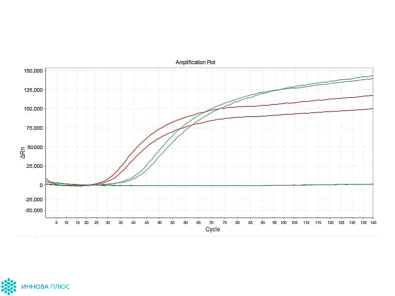 Температура реакции +62 °C 
Зеленые кривые – фермент InnovaHelix; 
красные кривые – фермент сравнения AMV обратная транскриптаза другого производителя; 
синие кривые – отрицательный контроль реакции. 

